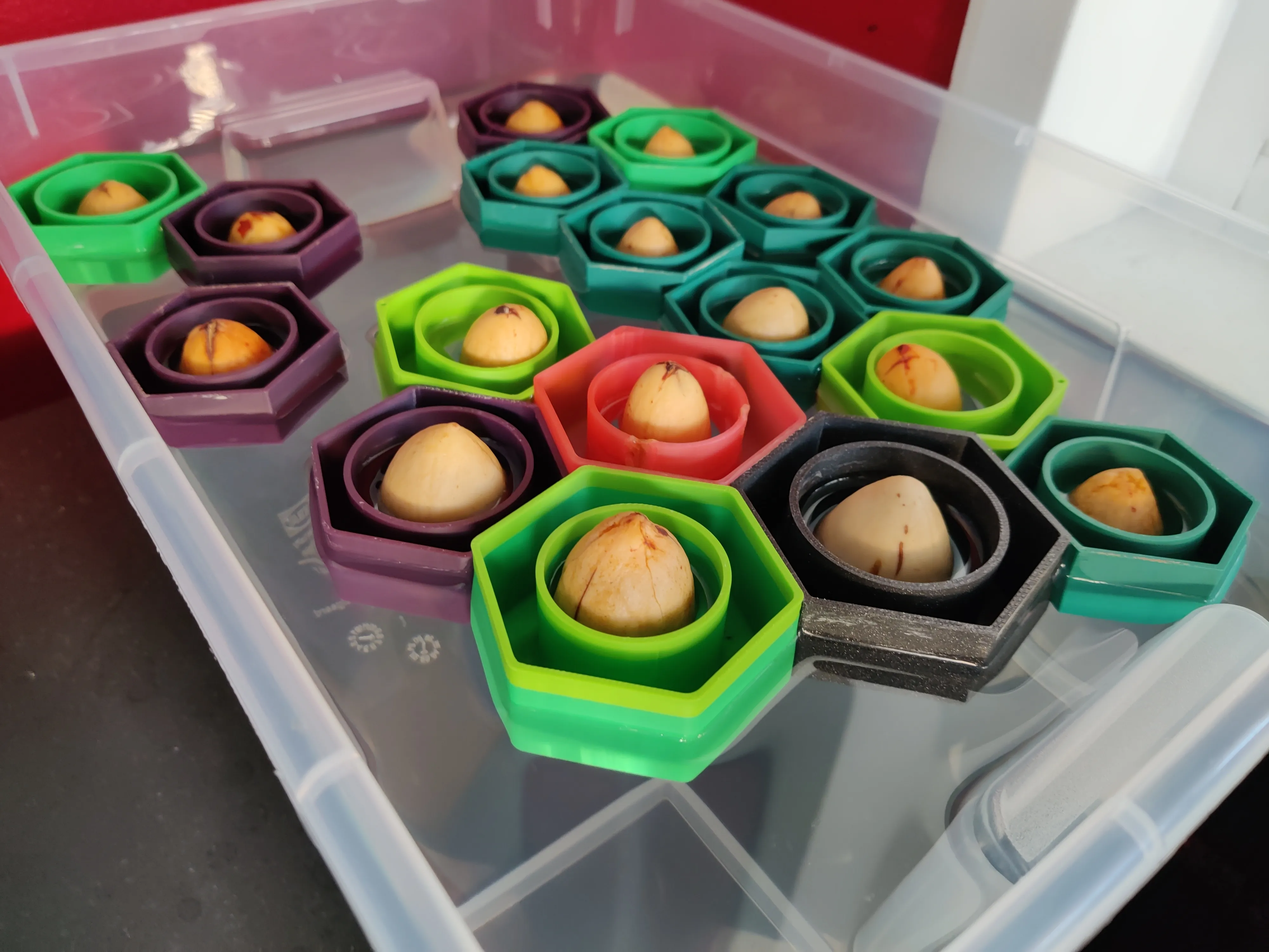 AVOCADO BOATS - image 2