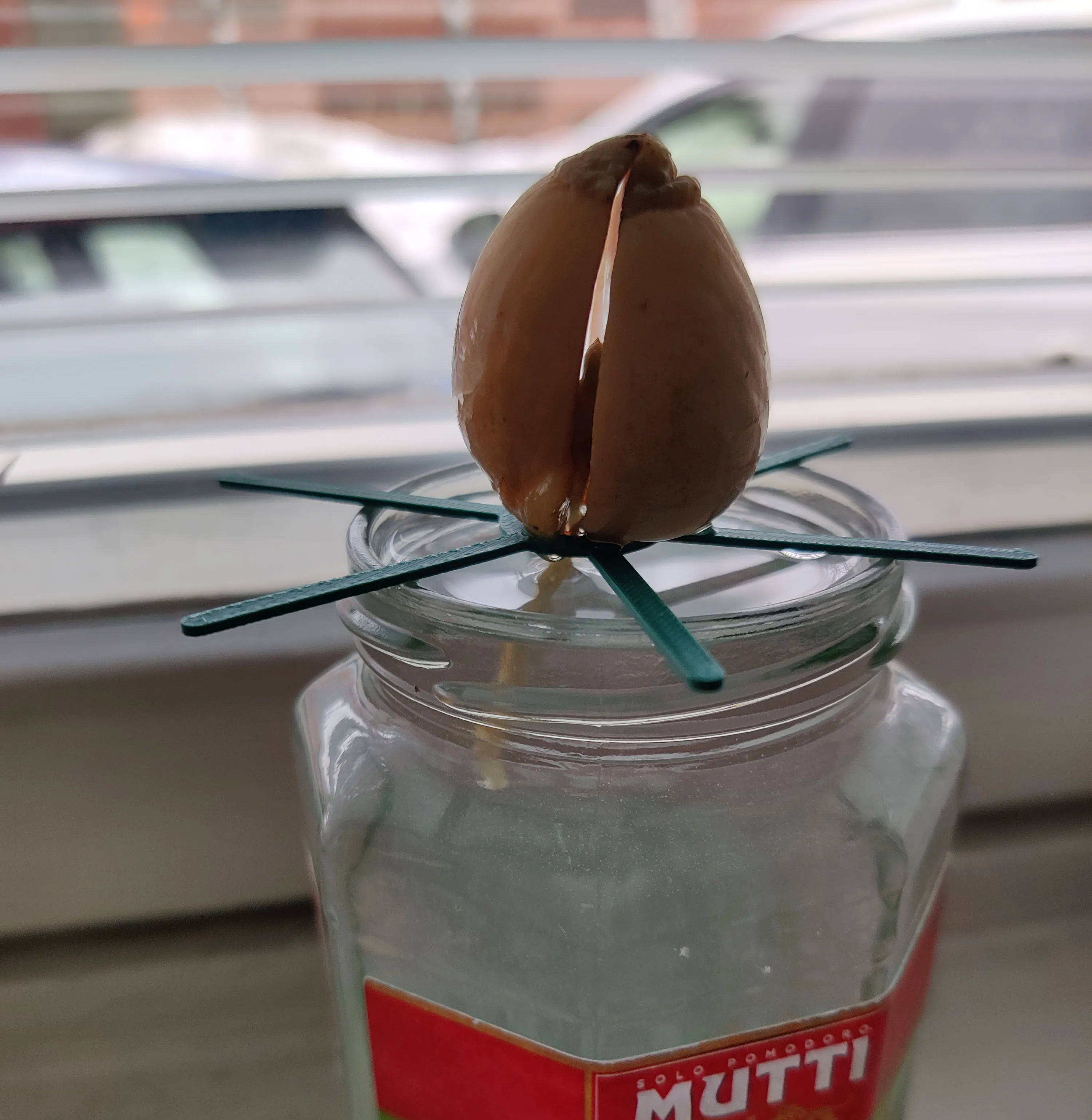 AVOCADO BOATS - image 4-1